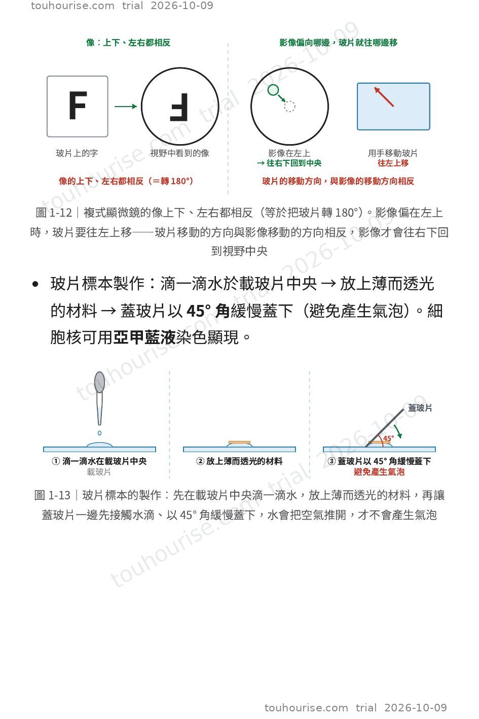 第 1 頁