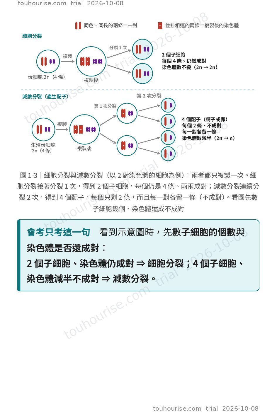 第 1 頁
