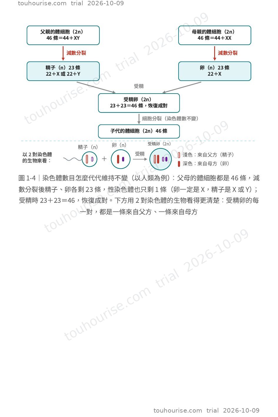 第 1 頁