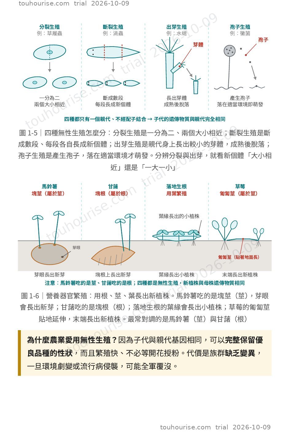 第 1 頁