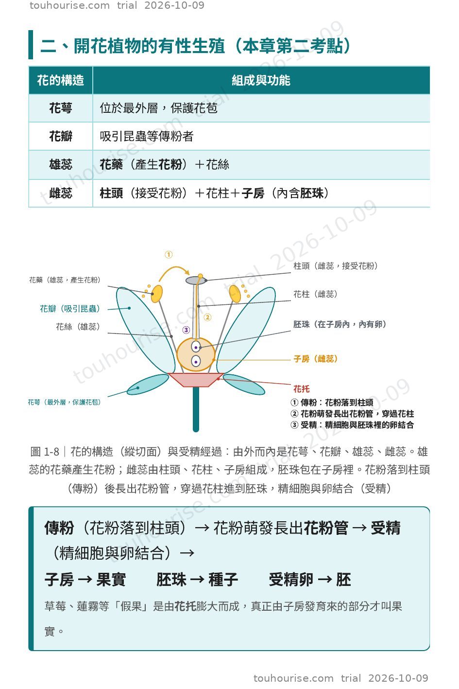 第 1 頁