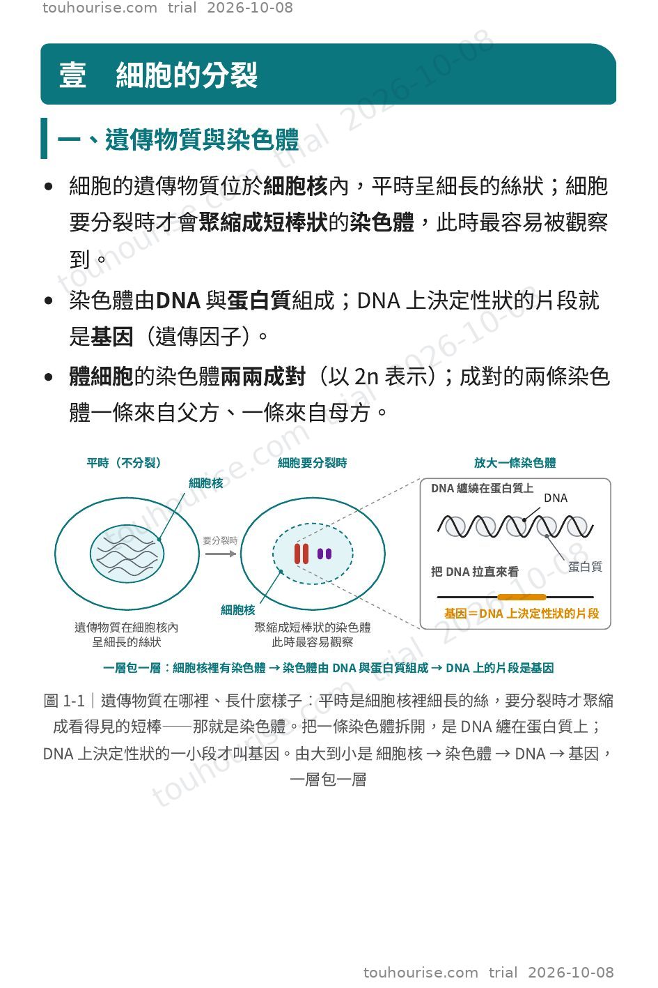 第 1 頁
