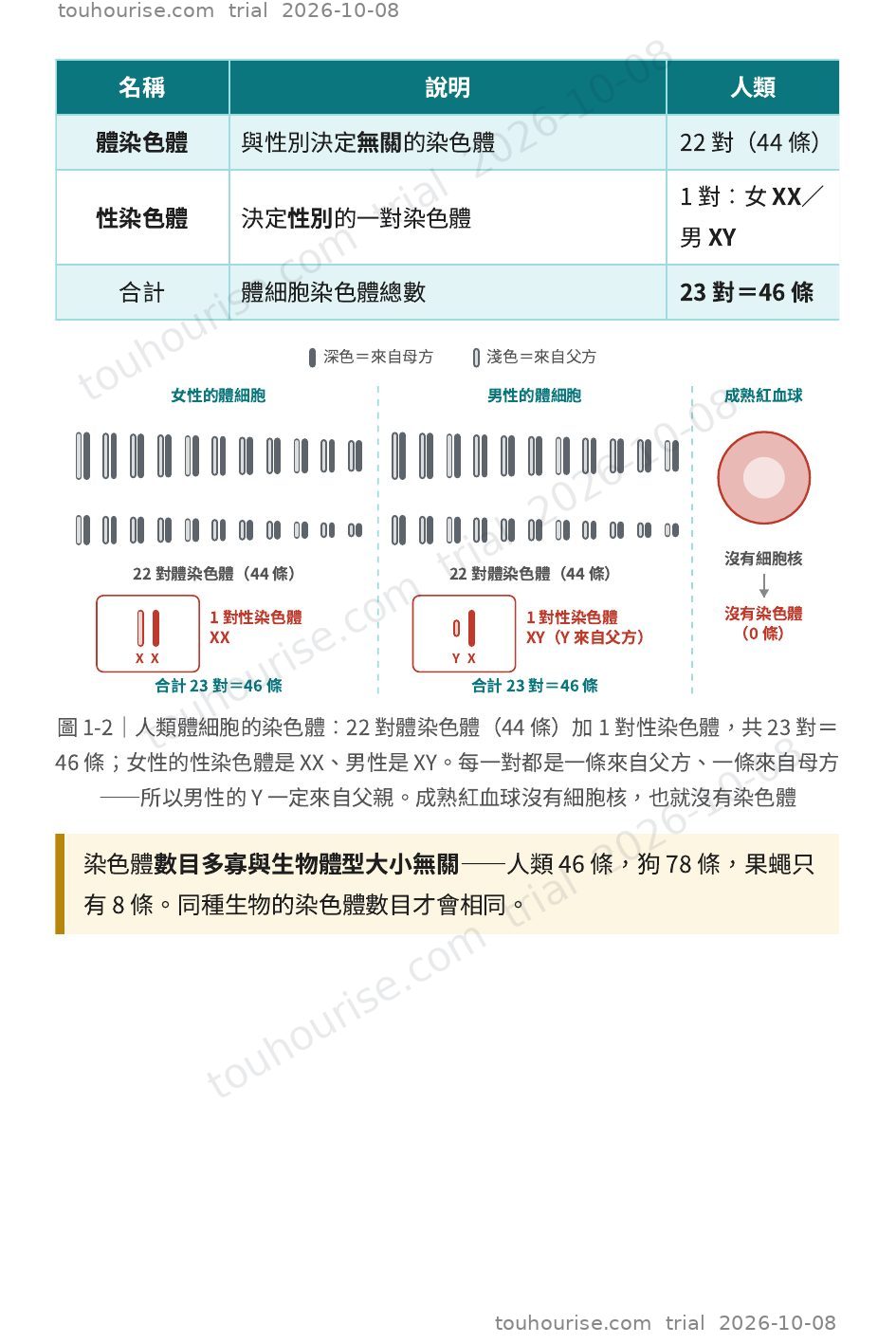 第 1 頁